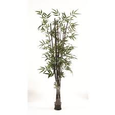 We did not find results for: Waterlook Faux Bamboo In A Tall Double Bubble Glass Floor Vase Free Shipping In Usa 1001shops