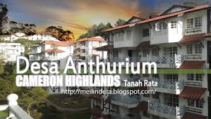 We did not find results for: Cameron Highland Apartment Desa Anthurium Posts Facebook