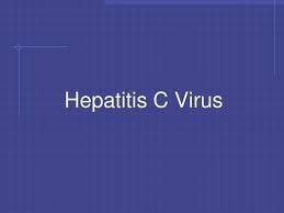 What did the letters in all those alphabet agencies stand for? Ppt The Alphabet Soup Of Viral Hepatitis Powerpoint Presentation Free Download Id 3561718