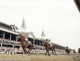 1946 kentucky derby assault glossy 8x10 photo triple crown