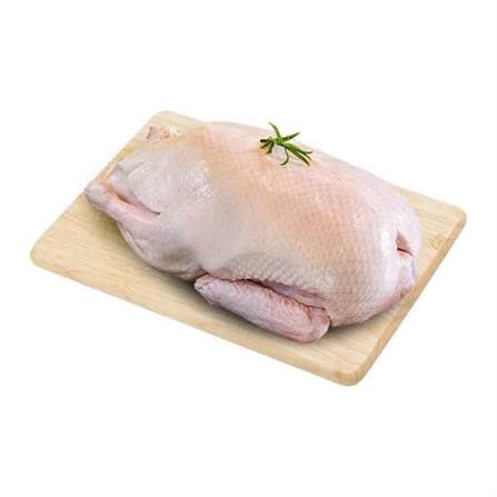 Vịt