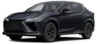 Image result for Black Onyx 2023 RZ