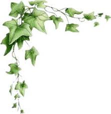 Scaricale gratuitamente in png, svg o pdf. 83 Idee Su Edera Edera Pareti Dipinte A Mano Fiori