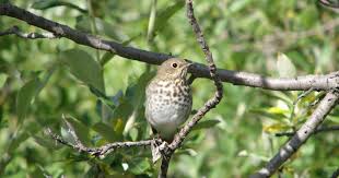 Check spelling or type a new query. Alaska Vacations Travel Advice From Trusted Alaskans Alaska Org