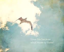 Birds Flying In The Sky Quotes Hey I Found This Really Awesome Etsy Listing At Https Www Etsy Com Listing 129346738 Summer Photograph Bird Quotes Free Bird Quotes Birds Flying Photography