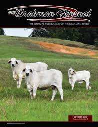 Private treaty brahman cattle for sale. The Brahman Journal October 2018 By Caballo Rojo Publishing The Brahman Journal Issuu