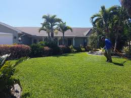 Brandon pest control is the leading home pest protection service company in northeast florida. Bk Turf Lawn Care And Fertilization
