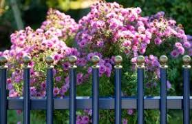 Carports Von Zaunzar Bieten Schutz Vor Wind Wetter Sturm
