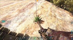 I will show you all the best ways to farm cactus sap and how to do it quickly and effectively. Cactus Sap On Ragnarok Sw Location Youtube
