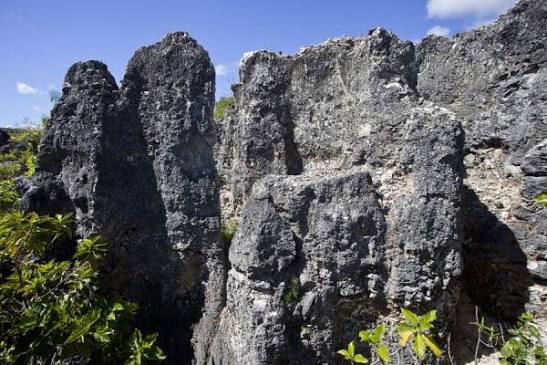 Topside Pinnacle Walk
