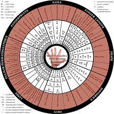 new assessment chart for the hand