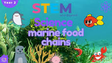 Marine Food Chains | KS1 Science For Kids Year 2 | STEM Home ...