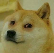 Dog crying tears at some point you may have looked down at. Crying Doge I M Sick Of Dude This Sucks Doge Know Your Meme