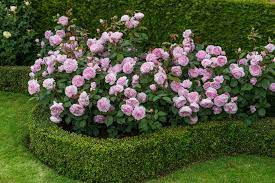 Check spelling or type a new query. Facebook