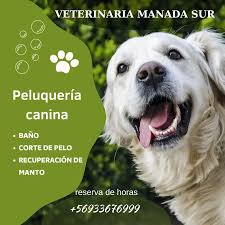 Veterinaria Manada Sur