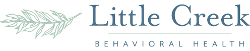 Little Creek Behavioral Health