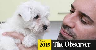 In the beginning, the rescue consisted of just kevin and nikki, fostering in their own home and it was funded solely from their personal savings. Throwaway Pup Trend Makes Britons Dogs Worst Enemies Animal Welfare The Guardian