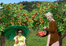 Buy fruit trees and berry bushes online with delivery right to your door. Annie S Annuals Perennials Grow A Little Fruit Tree