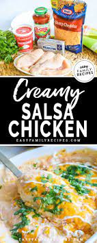 Creamy Salsa Chicken Easy Family Recipes Easy Family Meals Recipes Dinner Recipes Easy Quick