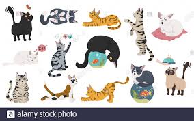 1 biography 2 powers and abilities 3 quotes 4 gallery 4.1 images 4.2 videos 5 trivia 6 references 7 navigation the predecessor image of cartoon cat was posted online by trevor henderson on august 4, 2018. Cartoon Cat Characters Collection Different Cat S Poses Yoga And Emotions Set Flat Color Simple Style Design Vector Illustration Stock Vector Image Art Alamy