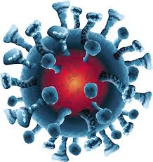It was first identified in december 2019 in wuhan,. What Are The Symptoms Of Covid 19