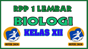 Bahasa inggris kelas 7,,,, bahasa inggris sebagai mata pelajaran yang sering di jumpai disekolahan smp dan mts atau sekolah menengah pertama negeri dan swasta, semester 1. Rpp Biologi Kelas Xii Kd 3 6 Dan 4 6 K13 Revisi 2020 Masbabal Com