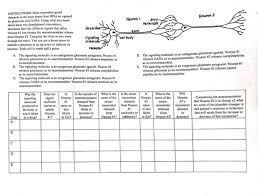 Solved Neuron 1 Neuron 2 Axon Terminals Instructions Mas