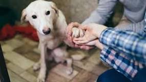 Image result