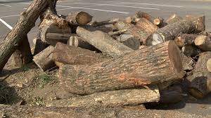Comparison of 6909 e rushwood cir, wichita, ks 67226 with nearby homes: Free Firewood And Mulch Offered At Sedgwick County Zoo
