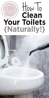How To Clean Your Toilets Naturally Wrapped In Rust Toilet Cleaning Mold In Bathroom Bathroom Cleaning Hacks