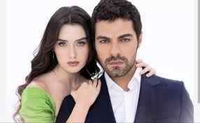 I need help understanding this. Zeynep forgave Halil of all the bad things  that he had done to her and her family before they were married. How is  that negated just because