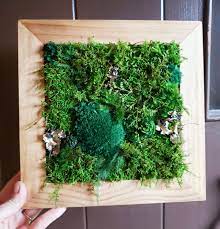 I ordered 4lbs of moss to cover a 24' x 36' surface but i had a lot leftover and could have definitely gotten away with 3lbs. Diy Kit Wood Moss Wall Art Decor Adult Craft Kit Moss Etsy