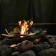 Mountain Mysteries Mabon