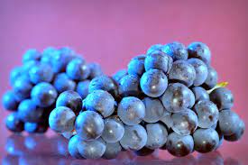 Check spelling or type a new query. Anggur Makanan Dan Minuman Buah Buah Buahan Wallpaper Hd Makanan Latar Belakang Berwarna Makan Sehat Piqsels