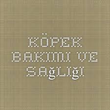 Kopek Bakimi Ve Sagligi Kopek Kedi Kopek Evcil Hayvanlar
