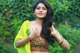 Actress Vaibhavi Shandilya Images HD @ Iruttu Araiyil Murattu Kuththu Press  Meet | Moviegalleri.net