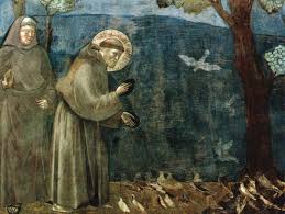 Clinica san francesco was the first european facility to perform replacement surgeries using an innovative robotic system known as the rio system. Basilica Superiore San Francesco D Assisi Culturalheritageonline Com