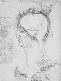 The cns is the site for processing the information. The History Of Nerves