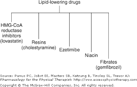 Chapter 26 Antihyperlipidemic Drugs Pharmacology For The
