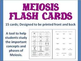 15 Flash Cards To Help Students Study The Important Concepts And Phases Of Meiosis Designed To Be Printed Front An Biology Classroom Teaching Biology Meiosis