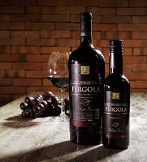G3ferrari, 122l dual zone wine and beverage cooler. Vinho Pergola Tudo Sobre O Vinho Nacional Mais Famoso Vem Da Uva