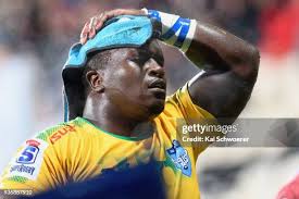 988 Crusaders Bulls Stock Photos, High-Res Pictures, and Images