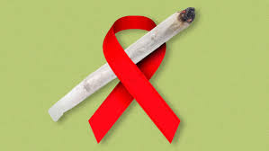 Image result for pic of marijuana