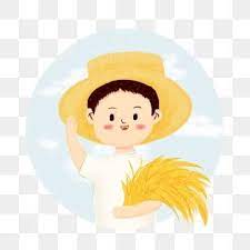 Paddy Rice Rice Hedao Png Transparent Clipart Image And Psd File For Free Download How To Draw Hands Cambodian Art Prints For Sale