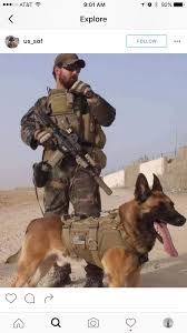 Belgian Malinois Max War Dog Bing Images Belgian Bing Dog Images Malinois Max War Military Working Dogs Working Dogs War Dogs
