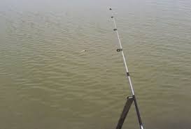 Apakah anda sendang mencari angka erek erek mimpi mancing ikan 2d 3d 4d ?. 99 Cari Arti Mimpi Mancing Ikan Menurut Primbon Islam Hindu Dan Kristen Jika Mimpi Mancing