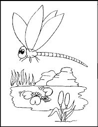 We provide some dragonfly coloring sheets that you can download for free. Dragonfly Coloring Page Coloring Home
