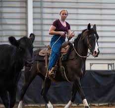 📸Scenes from yesterday's clinic with Jim Hitt and Wes Larkin. Thank you to  our clinic sponsor, Hiser Farms! Classes for Ranch Horse Championships  begin today and will feature Ranch Rail Pleasure, Ranch