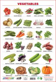 20 ageless vegetables chart with name in english