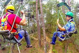 Tree Top Adventure Baguio S Canopy Ride Top Adventures Tree Tops Adventure